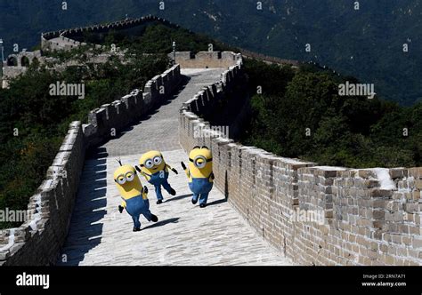 are minions popular in china